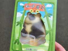 -都江堰中华大熊猫苑