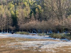 -镇江市南山风景名胜区竹林景区