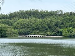 -深圳仙湖植物园