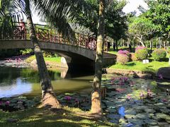 -白沙门生态公园