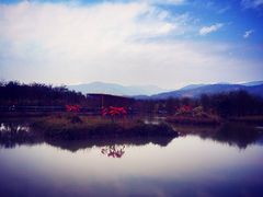 -天适樱花悠乐园