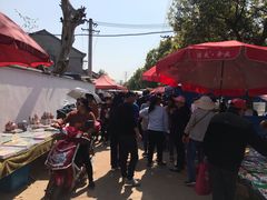 -龙寺生态园