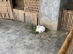 -宁波九龙湖开元度假村