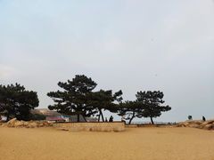 -老虎石海上公园