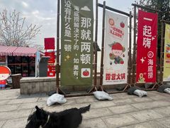 -海底捞火锅(漕宝路店)