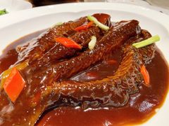 青鱼划水-宁波柏悦酒店·钱湖渔港