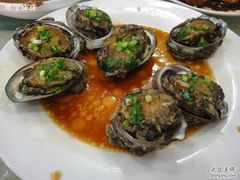 鲍鱼-海岛渔村大酒店(云霄路店)