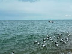 -青海湖仙女湾景区