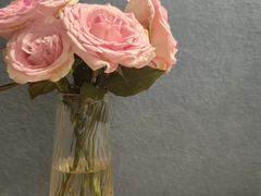 -邵记遵义羊肉粉(千喜之春公寓店)