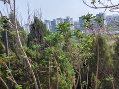 -南翠屏公园