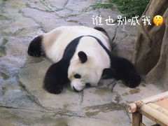 -苏州太湖国家湿地公园