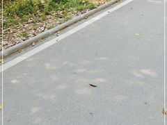 -前进麦味·天然烘焙(凯德1818店)