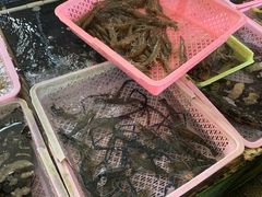 -南沙十九涌渔人码头-南门