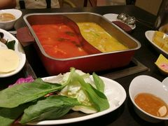 -新辣道鱼火锅(领展购物广场·中关村店)