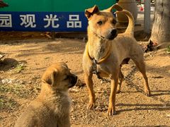 -大泽山风景名胜区