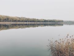 -素心小筑(后沙裕镇店)