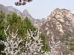 -北京凤凰岭