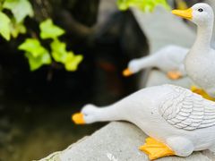 -丽江庭院之丽江往事(安定门店)