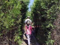 -亲兄弟真人CS团建拓展基地