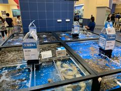 -盒马X会员店(王府井奥莱UP TOWN店)