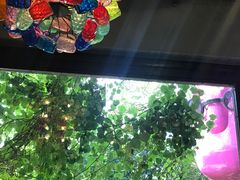 -莓园冰淇淋店
