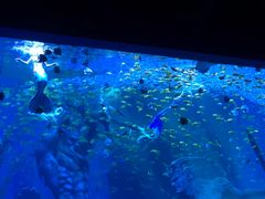 -波塞冬旅游度假区