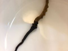 -御膳宫药膳餐厅(金沙店)