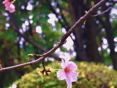 -乌山风景区