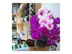 -活鳗饭·鹅肝范儿(高碑店店)