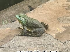 -太阳宫公园