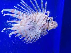 -常州海昌海洋探索馆