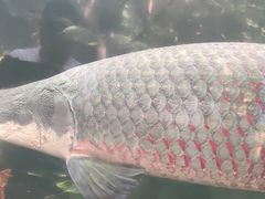 -青青世界