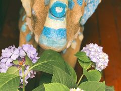 -半坡九号老挝冰咖啡