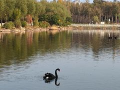 -长春市南湖公园