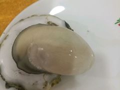 -蚝专家(北滘店)