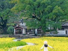 -上坦村