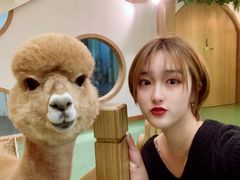 -藦茜花园宠物主题亲子互动体验馆(国顺东路店)