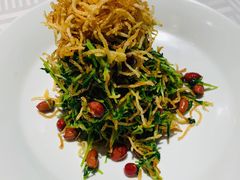 巧拌豆苗-四季民福烤鸭店(王府井灯市口店)