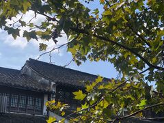 -黎里古镇