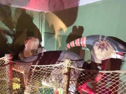 -恐龙探索乐园(磁器口店)