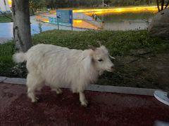 -水上乐园·欢乐世界