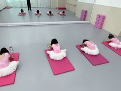 -小芳舞蹈团·少儿舞蹈·中国舞(龙江校区)