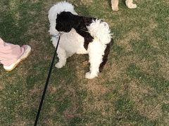 -钟山体育运动公园