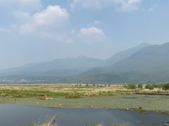 -腾冲北海湿地