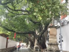 -草庵摩尼教遗址公园