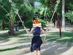 -三亚海棠湾万丽度假酒店