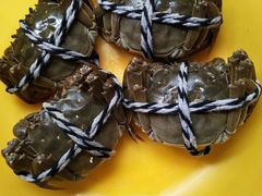 -小陆莲花蟹园农家乐(莲花岛店)