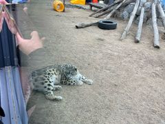 -青藏高原野生动物园
