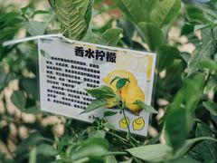 -火车头时光旧物仓