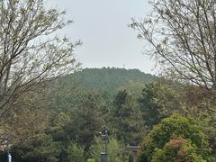 -秦始皇帝陵博物院-丽山园
